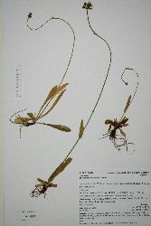 © Landcare Research 